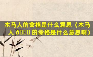 木马人的命格是什么意思（木马人 🐒 的命格是什么意思啊）